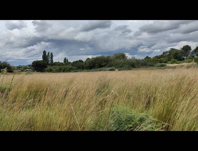 LAND FOR SALE IN RASLOUW